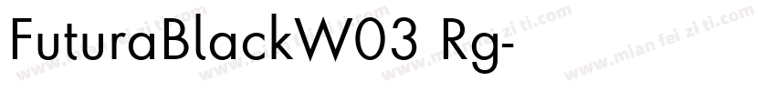 FuturaBlackW03 Rg字体转换